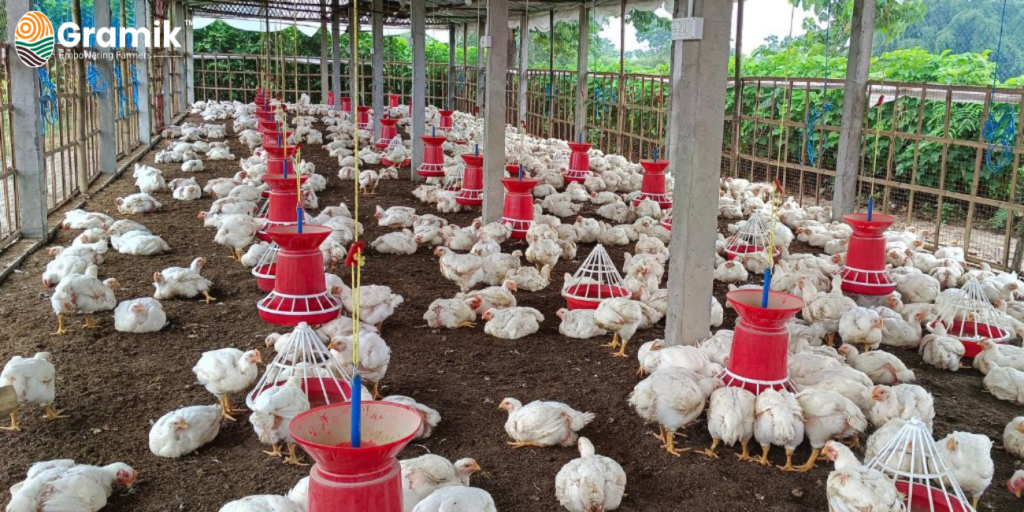 Poultry farming