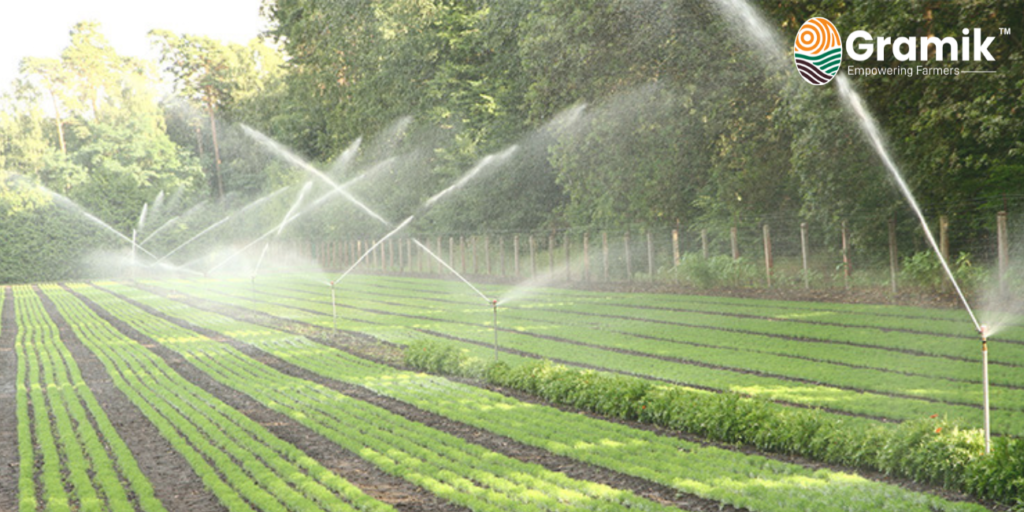 AI in Agriculture