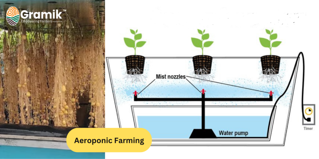 एरोपोनिक खेती (Aeroponic Farming)