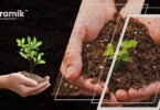 Soil Health: मिट्टी की सेहत