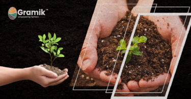 Soil Health: मिट्टी की सेहत