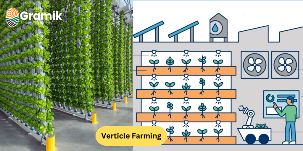 वर्टिकल खेती (Verticle Farming)