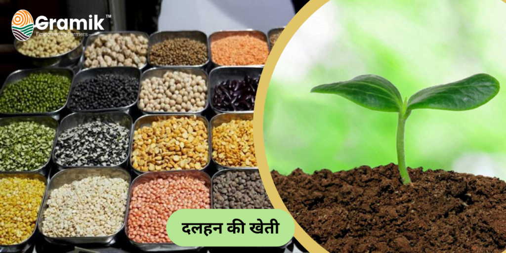 Soil Health : मिट्टी की सेहत