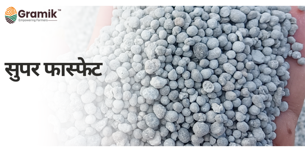 सुपर फास्फेट (Superphosphate)