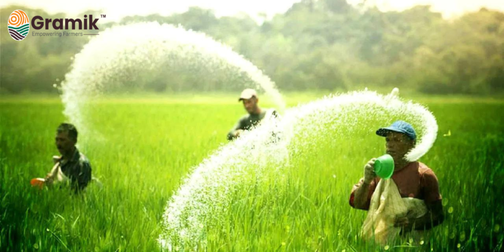 यूरिया का संतुलित प्रयोग करें