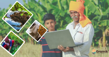 एग्री बिज़नेस आइडियाज
