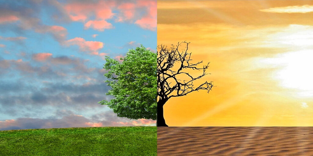 कृषि में नवाचार