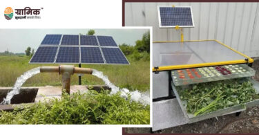 सोलर पंप और सोलर ड्रायर