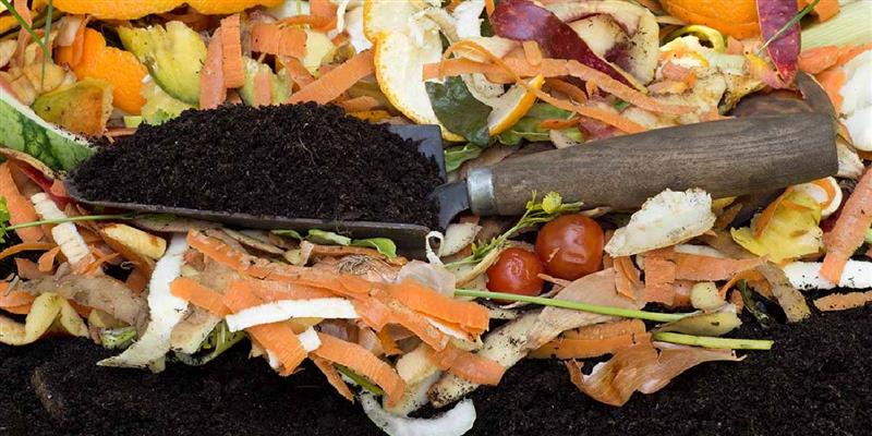 ज़ीरो वेस्ट गार्डनिंग