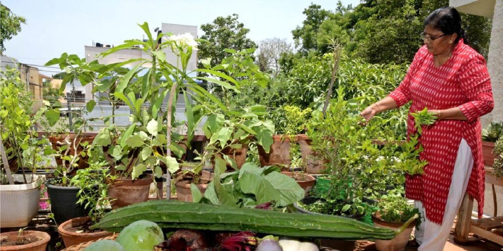 किचन गार्डनिंग