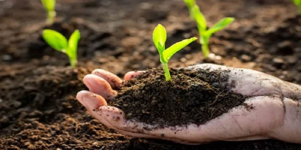 बायोफर्टिलाइज़र