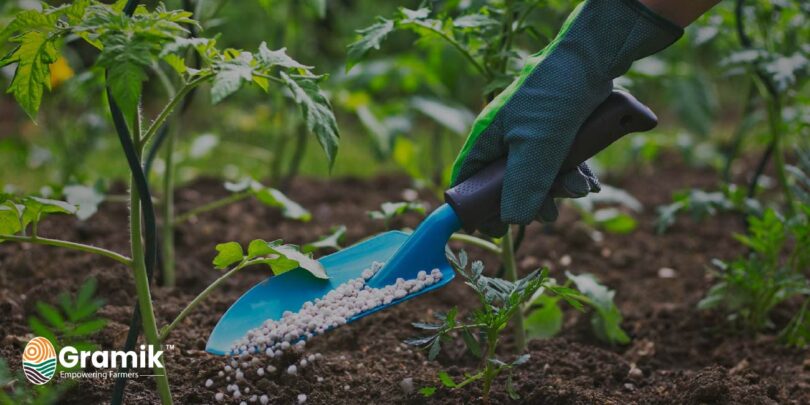 बायोफर्टिलाइज़र vs केमिकल फर्टिलाइज़र