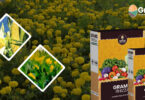 Gramo Rhizza Mycorrhizal Biofertilizer