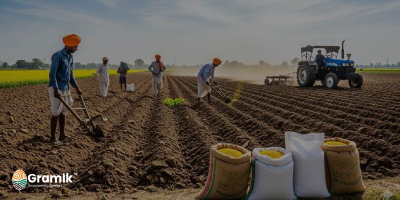 सरसों की बिजाई