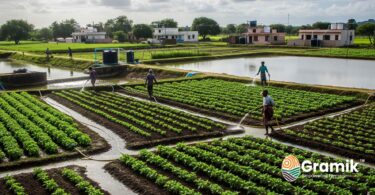 कृषि में जल संरक्षण: रेनवाटर हार्वेस्टिंग से सिंचाई समाधान