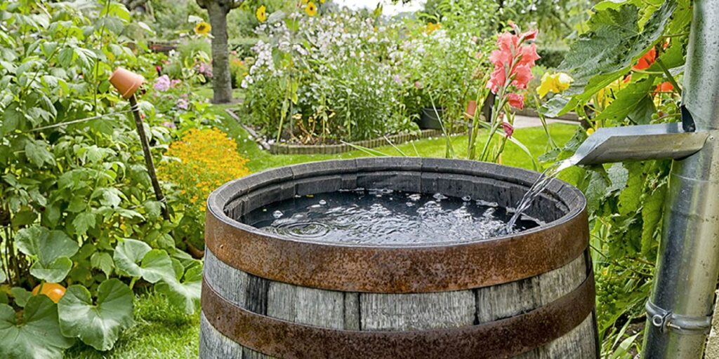 कृषि में जल संरक्षण: रेनवाटर हार्वेस्टिंग से सिंचाई समाधान